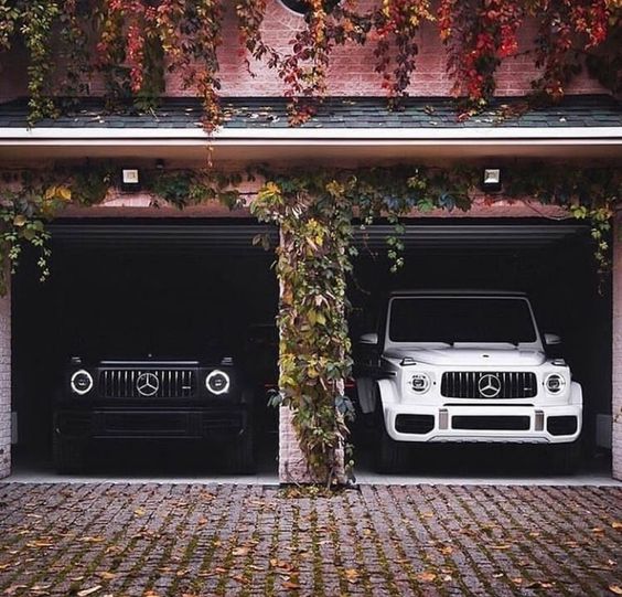Left Or Right Which SUV Would You Choose? Please Comment.