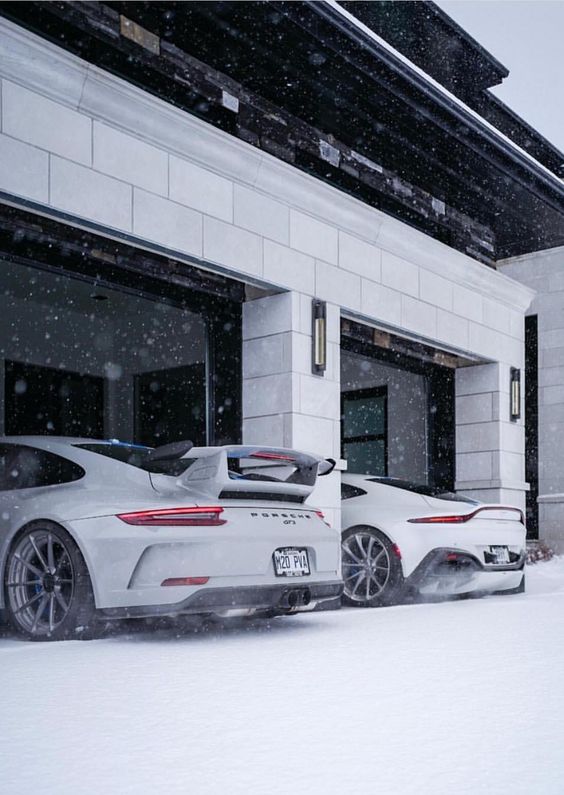 Which One Would You Pick?? Porsche GT3 or Tesla