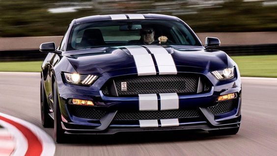 Butterflies come to pretty flowers. - 2019 Ford Mustang Shelby GT350