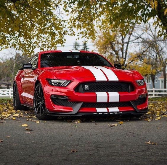 If you foolishly ignore beauty, then you will soon find yourself without it. - 2019 Ford Mustang Shelby GT350