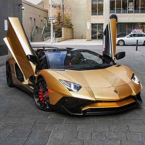 Stop and smell the roses. - Lamborghini Aventador Super Veloce Roadster