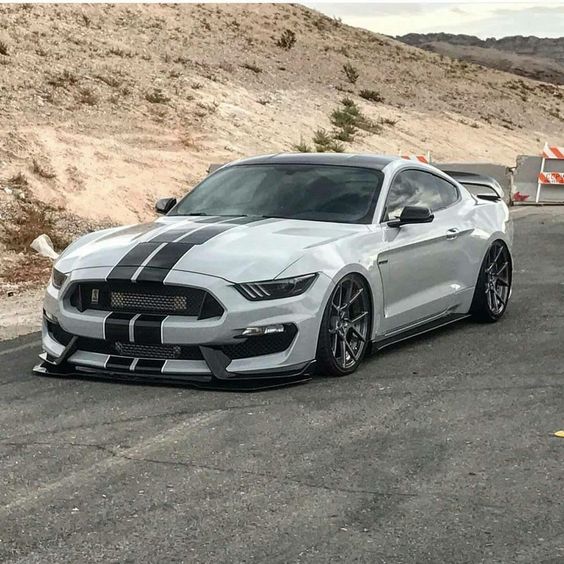 Beauty is power; a smile is its sword. - Ford Mustang Shelby GT350