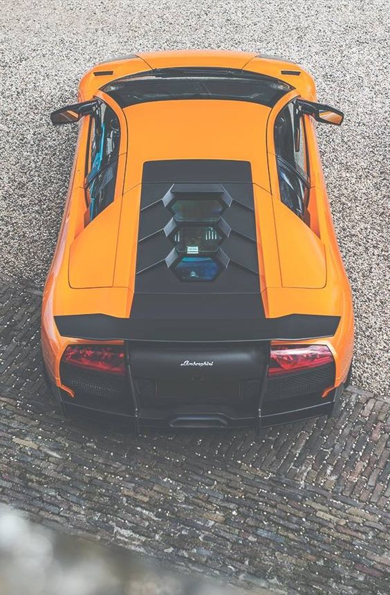 Limitless is your potential. Magnificent is your future. - Lamborghini Murcielago SV