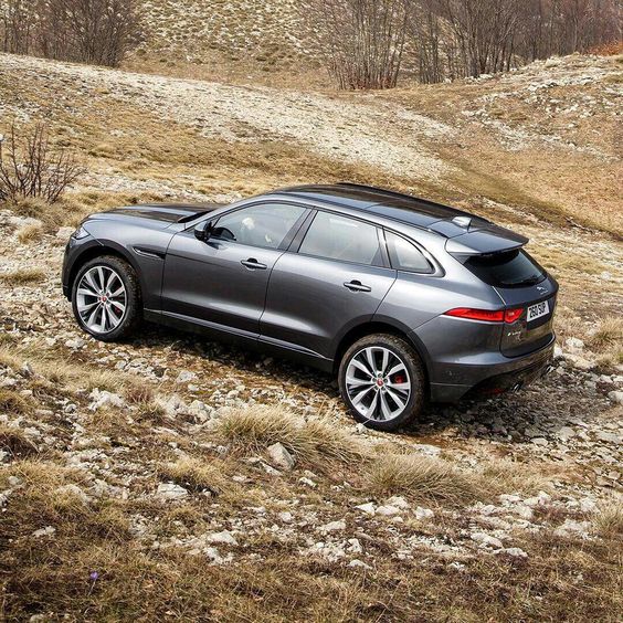 Money is the most corrosive aspect of life today because it means that all attention to detail is forgotten - ​Jaguar F-Pace SUV