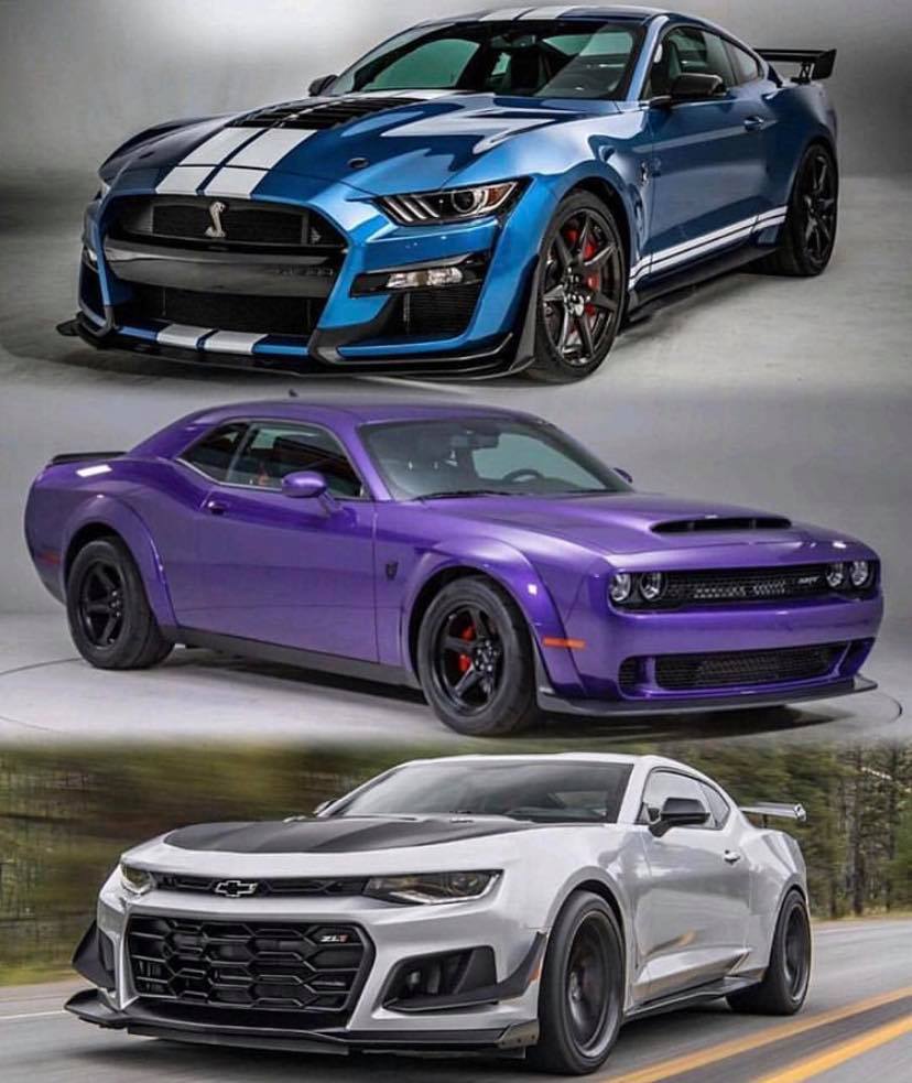 Which one - Top , Middle or Bottom ?
