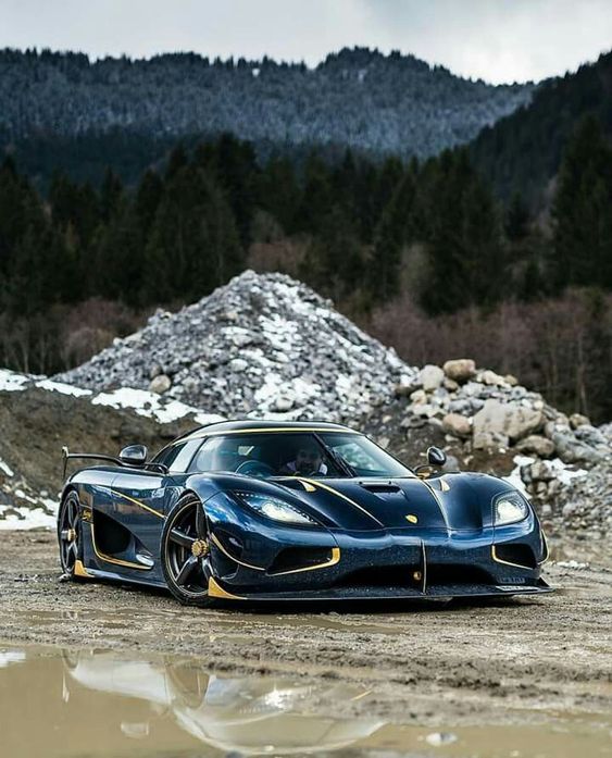 Good Lawyers know the Law; great Lawyers know the judge - Koenigsegg Agera RS