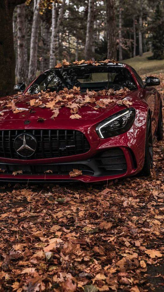 When you fall in love, the natural thing to do is give yourself to it - Mercedes AMG GTS