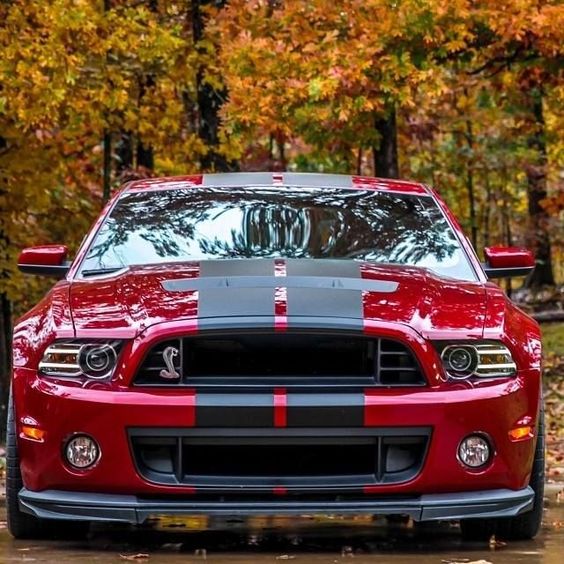 ‘’ Mustang Shelby GT500 Super Snake ‘’ Cars Design And Concepts, Best Of New Cars, Awesome Cars