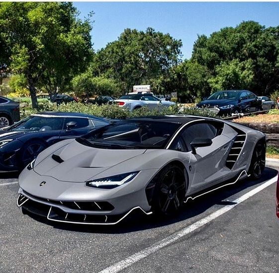 ​Ten soldiers lead wisely will beat a hundred without a head - Lamborghini Centenario