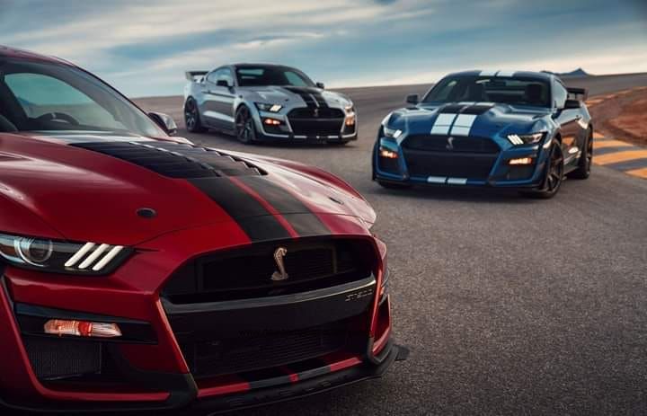“I don’t read minds so God damn it use the signals” - Ford Mustang Shelby GT 500